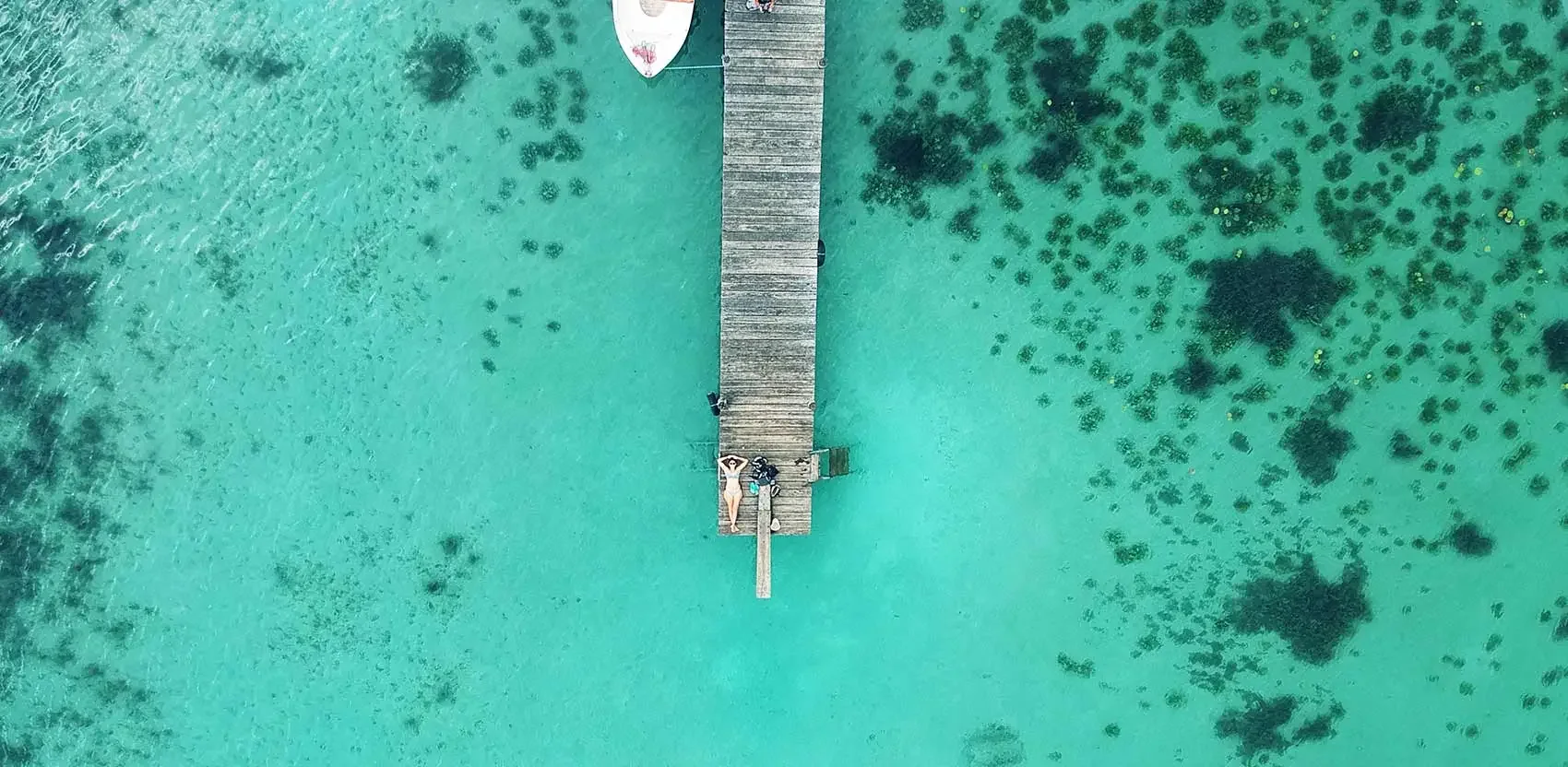 lasarch bacalar