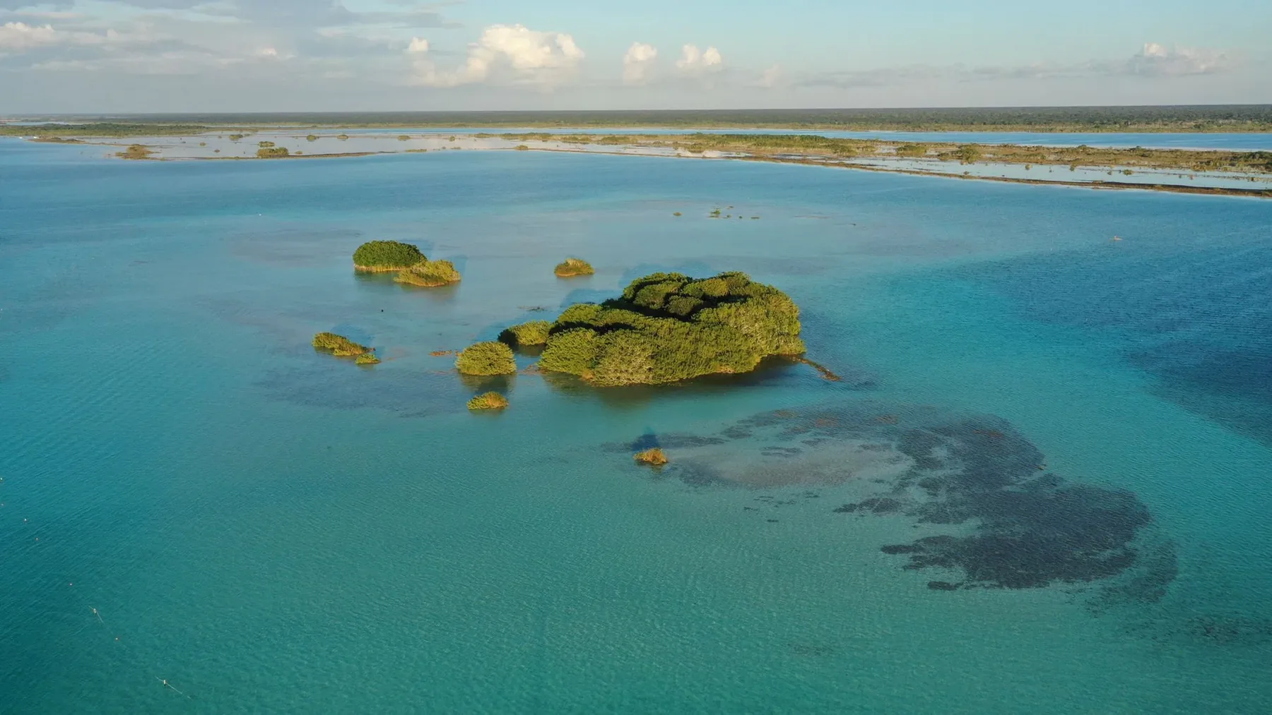wednesday bacalar